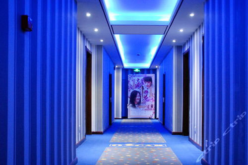 郑州星光雅达电影主题酒店 圆床房 团购仅售158元,郑州酒店团购