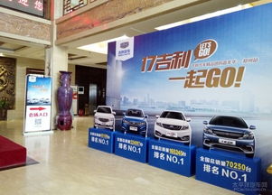 17吉利 一起go 吉利汽车嘉年华郑州站圆满落幕