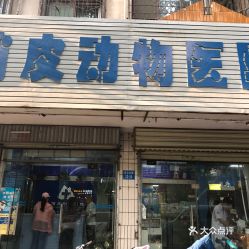 郑州冉屯路五龙口宠物医院团购指南 电话、地址、价格及营业时间详情